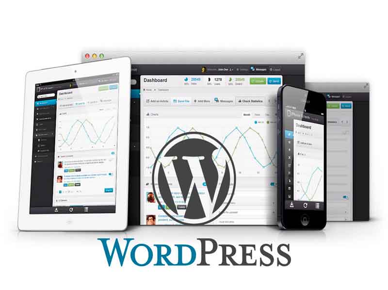 web-wordpress-profesional-en-microsgandia
